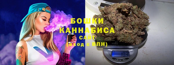 твердый Алзамай
