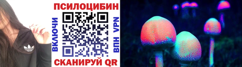Купить  Сычёвка  Псилоцибиновые грибы Magic Shrooms 